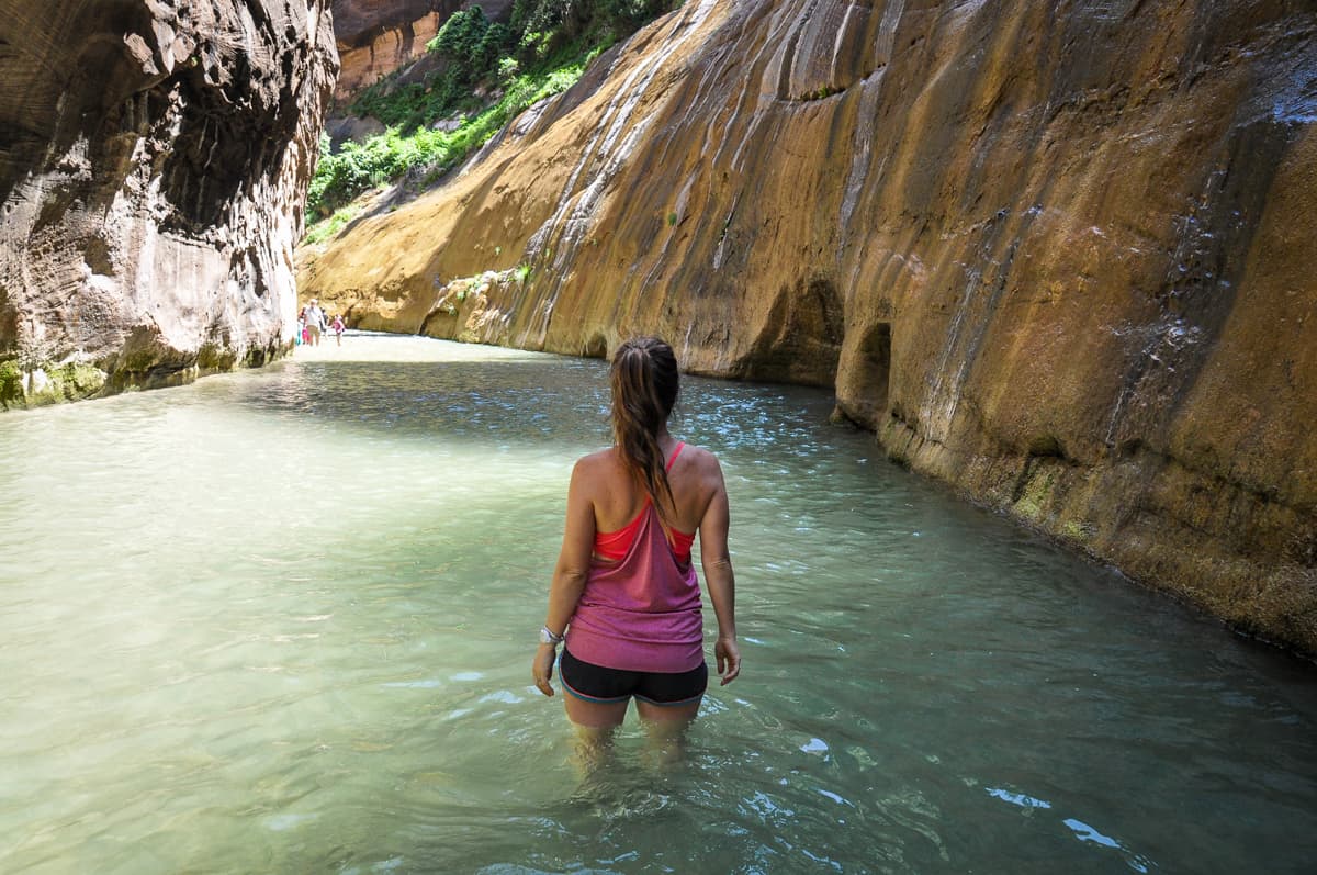 The Narrows Zion National Park