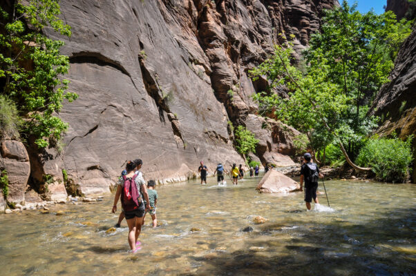 The Narrows Hike: Trail Guide for Zion National Park - Go Wander Wild