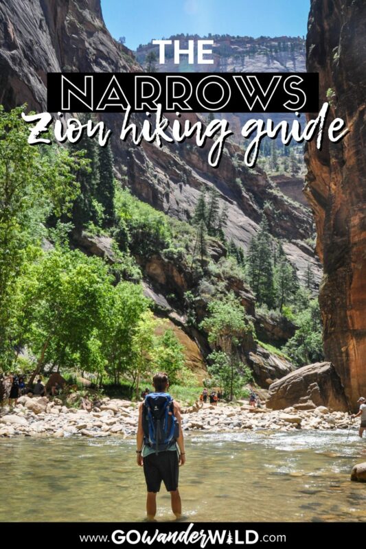 The Narrows Hike: Trail Guide for Zion National Park - Go Wander Wild