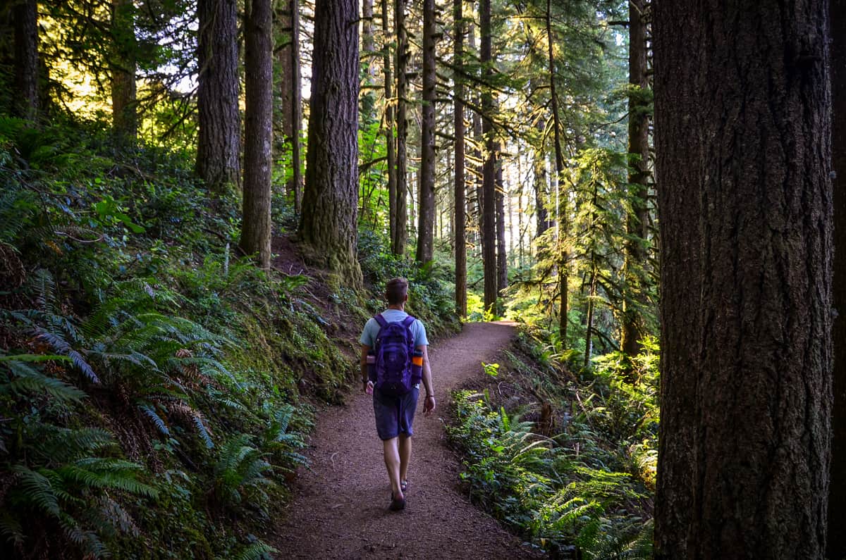 Silver Falls State Park: melhores trilhas curtas