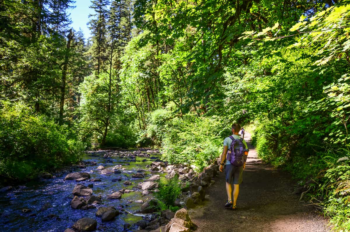 Trail of Ten Falls: Silver Falls State Park Hiking Guide - Go Wander Wild