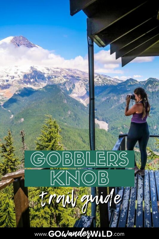 Gobblers Knob Mount Rainier National Park | Go Wander Wild