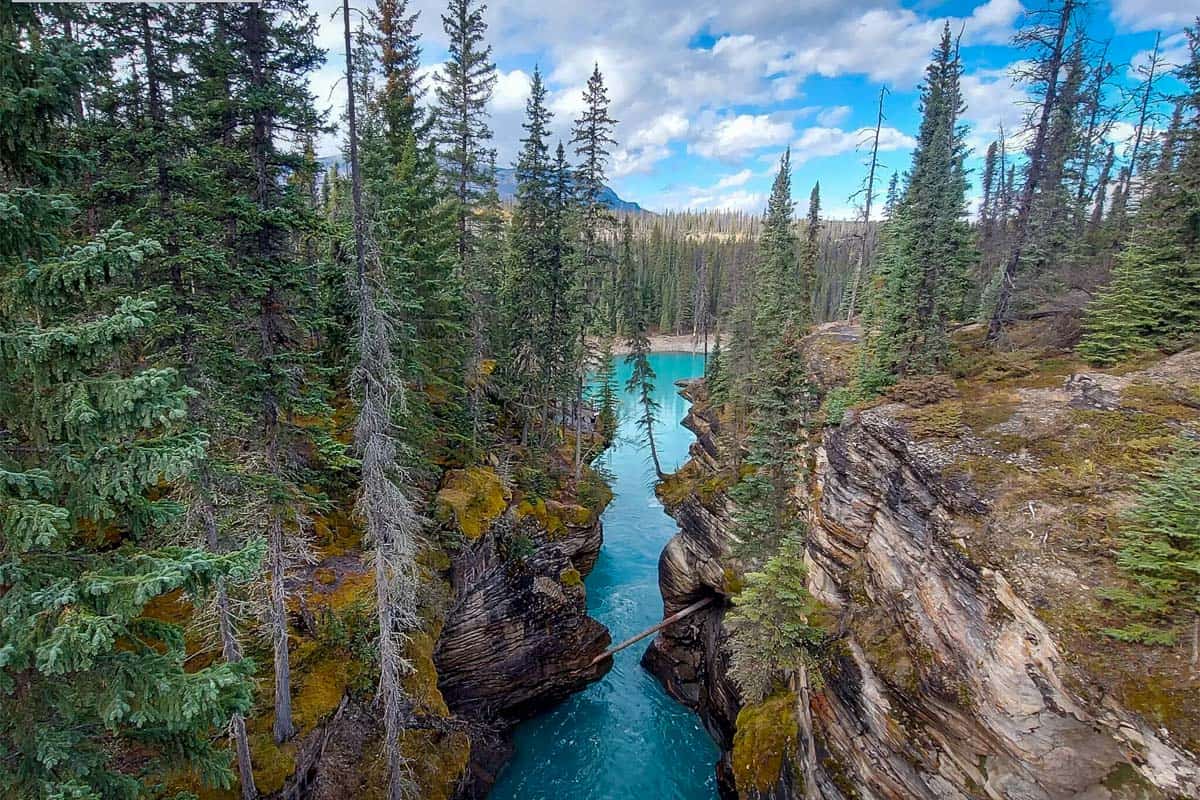 Athabasca Falls (Ashley Bond)