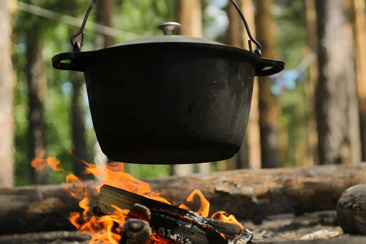 Dutch Oven_STOCK-U (ignat-kushanrev)