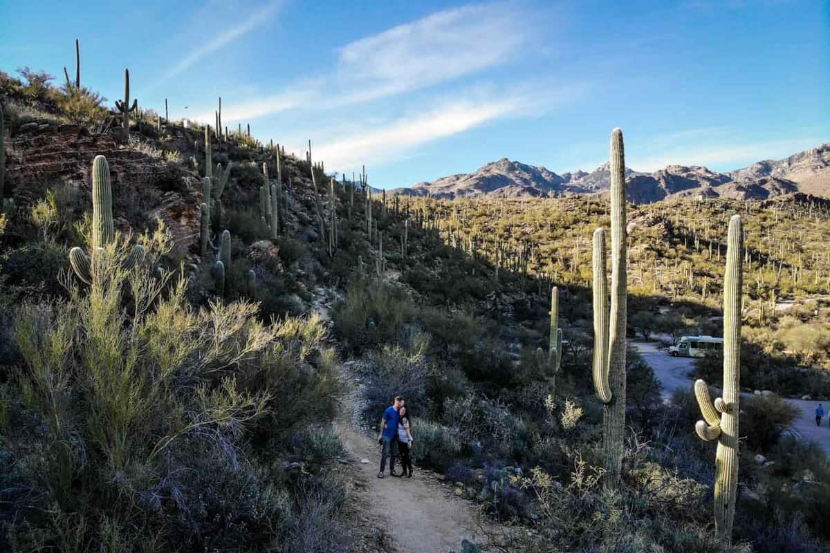 Sabino Canyon Hiking Arizona