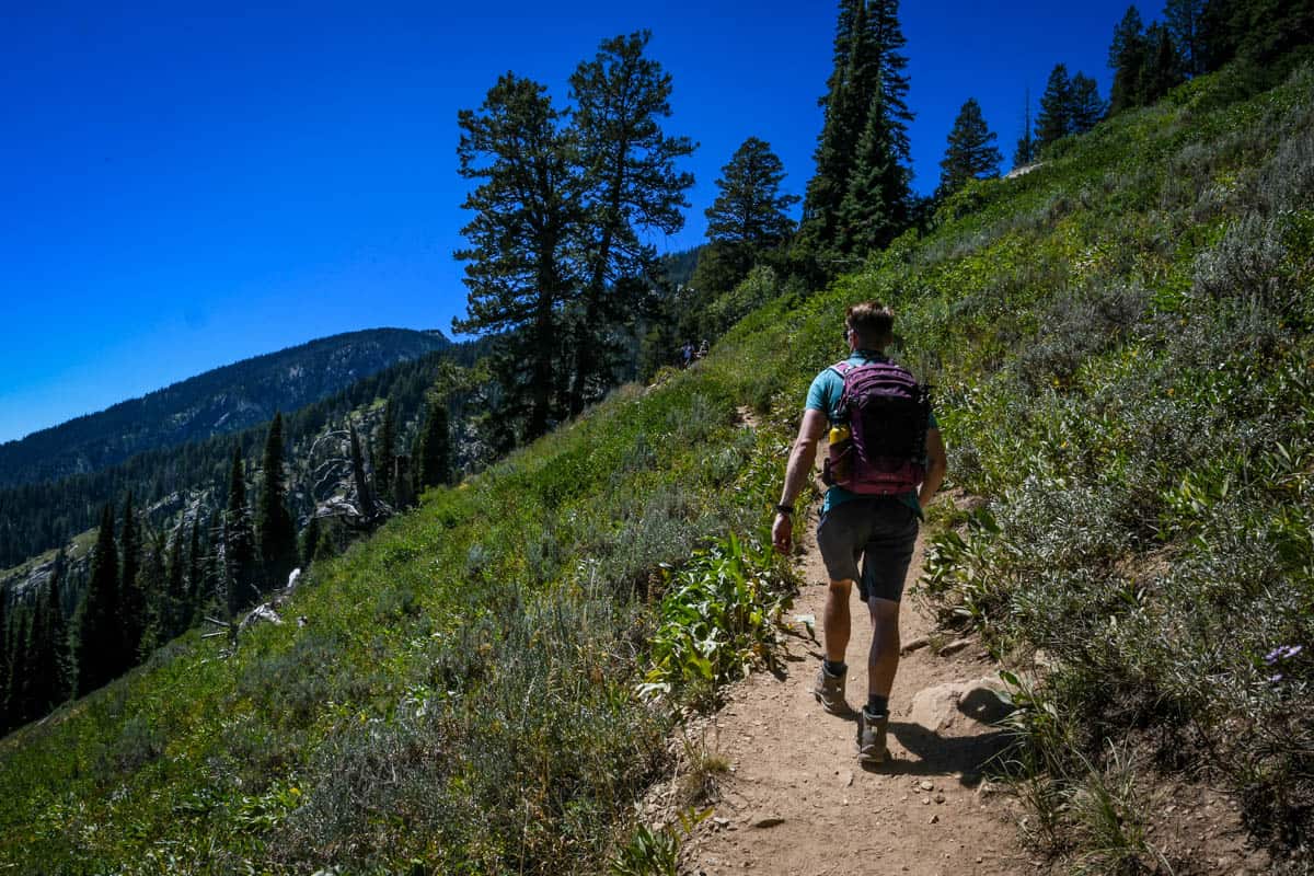 Delta Lake Hike: Grand Teton National Park Trail Guide - Go Wander Wild