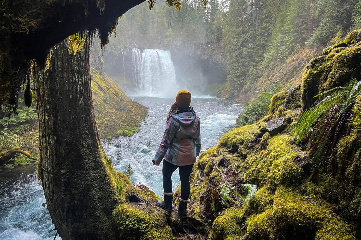 Koosah Falls Oregon