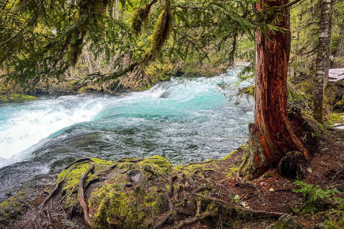 Sahalie And Koosah Falls: Oregon Trail Guide - Go Wander Wild