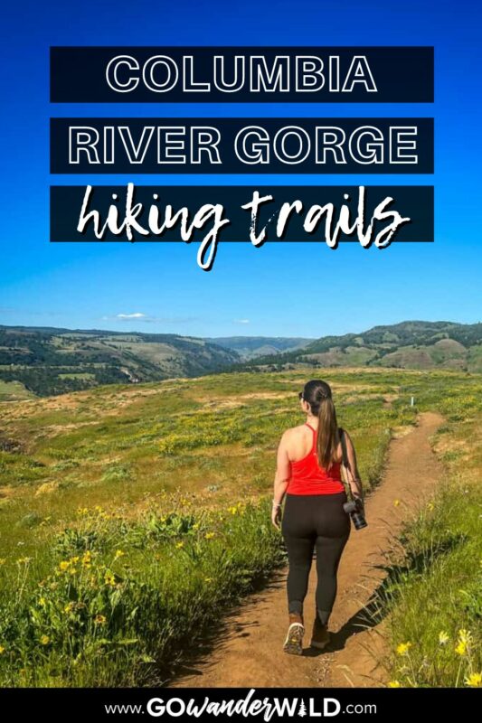 20 Fantastic Columbia River Gorge Hikes - Go Wander Wild