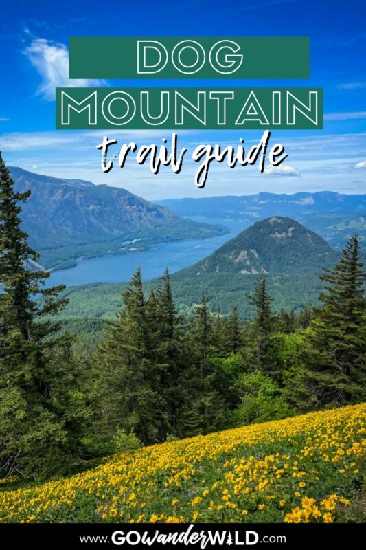 Dog Mountain hike | Go Wander Wild