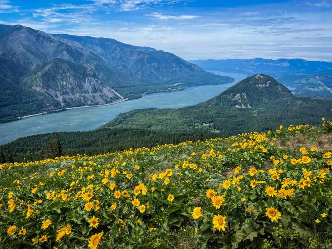 Dog Mountain trail Washington