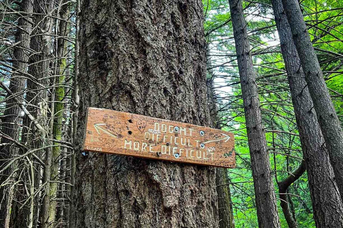 Dog Mountain trail Washington