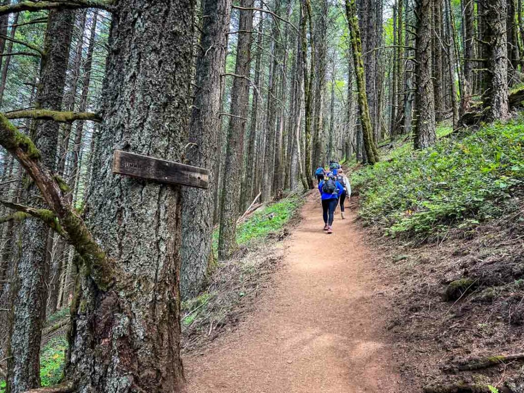 Dog Mountain trail Washington