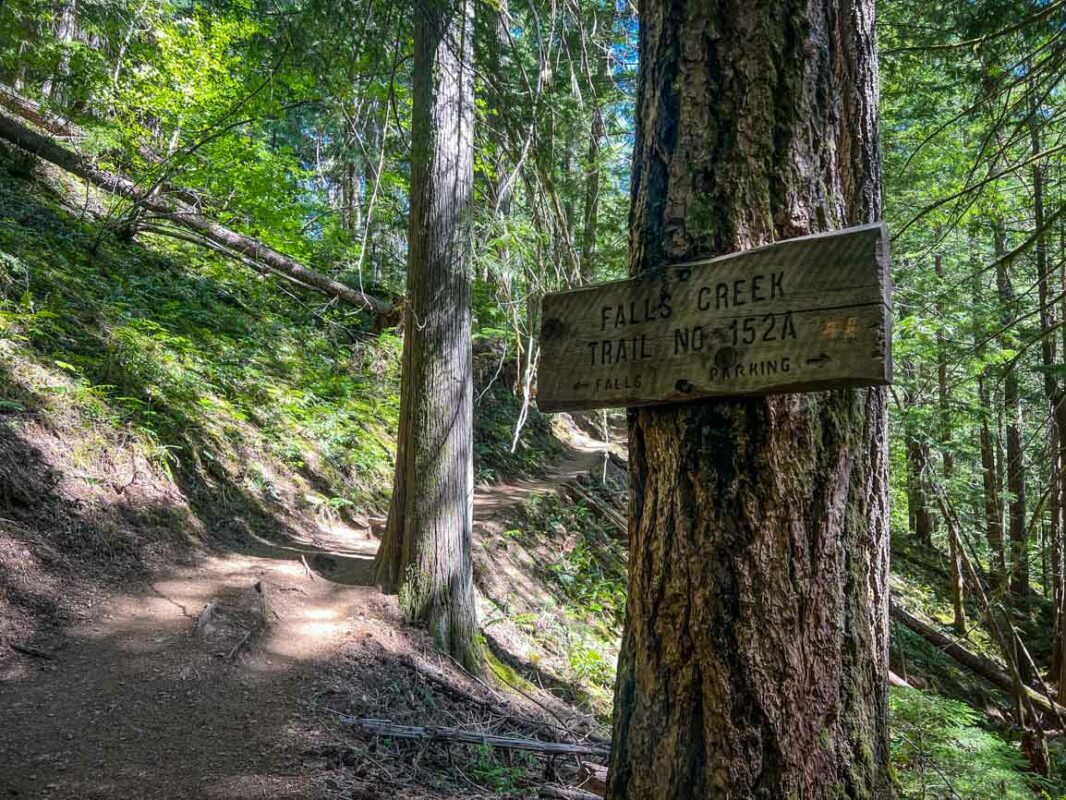 Falls Creek Falls Washington trail