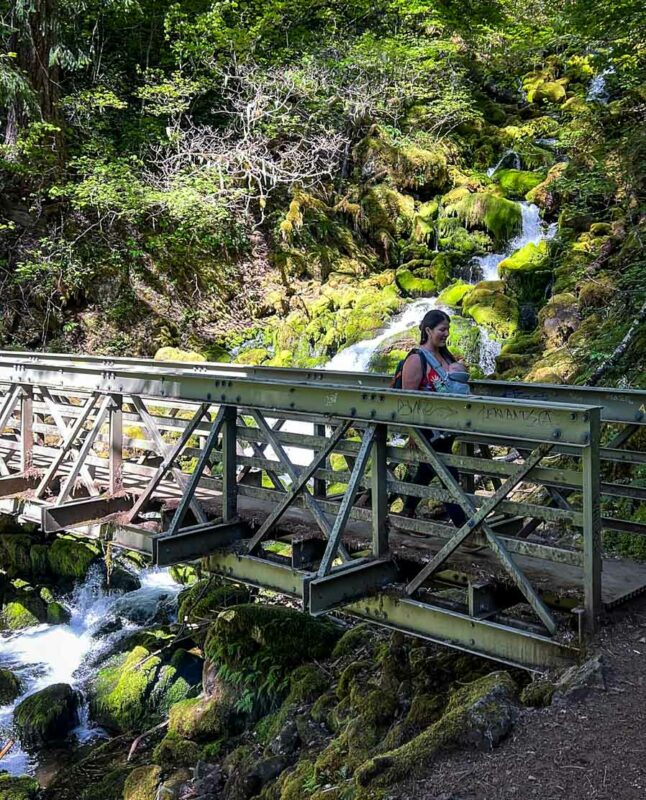 Falls Creek Falls trail in Washington