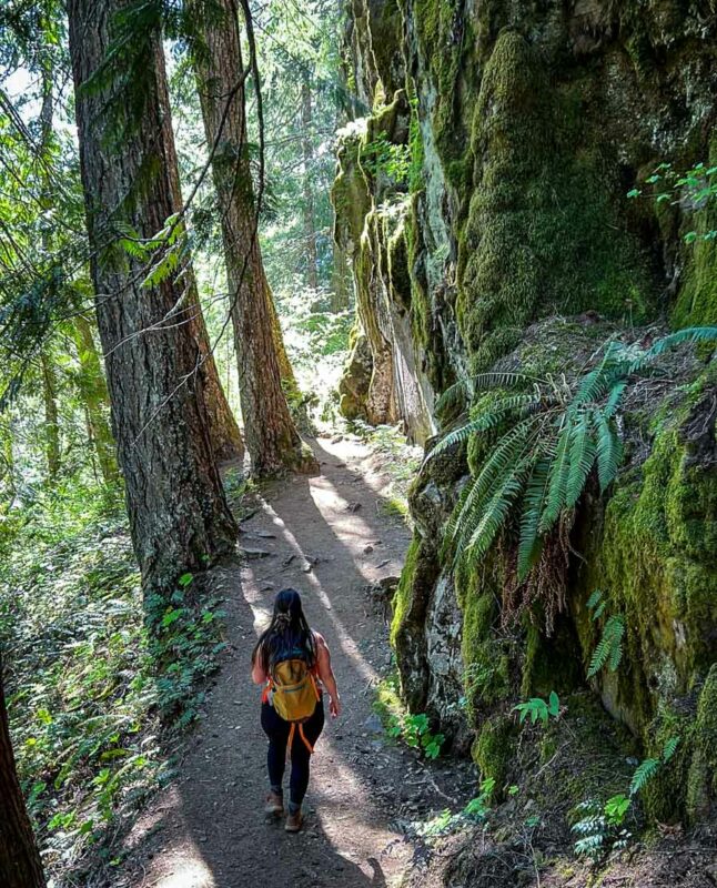 Falls Creek Falls trail in Washington