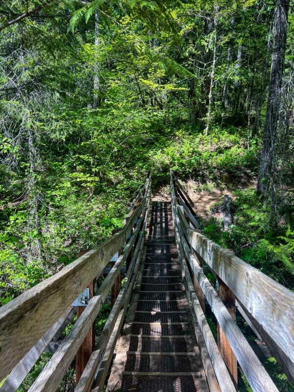 Stairs to the viewing platform on the Falls Creek Falls trail in Washington