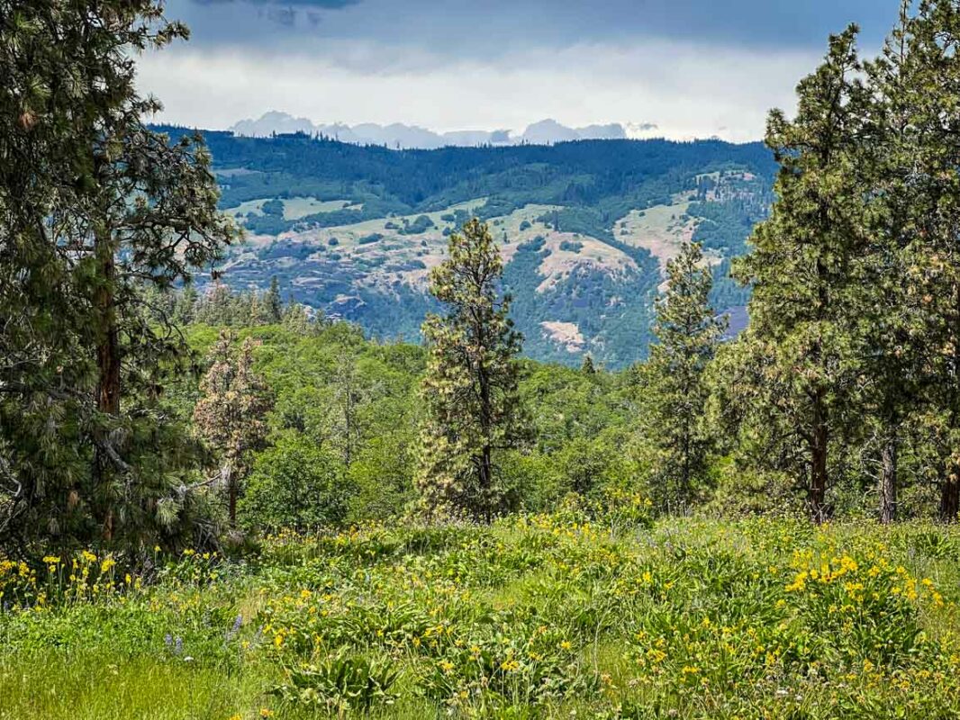 Memaloose Hills Hike Oregon