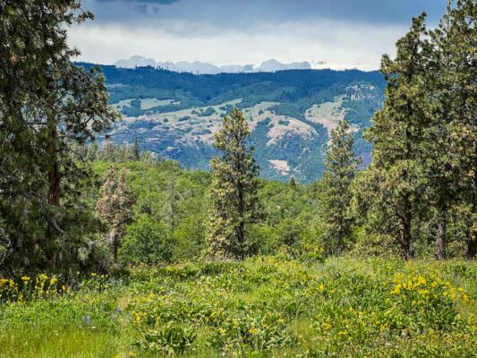Memaloose Hills Hike Oregon
