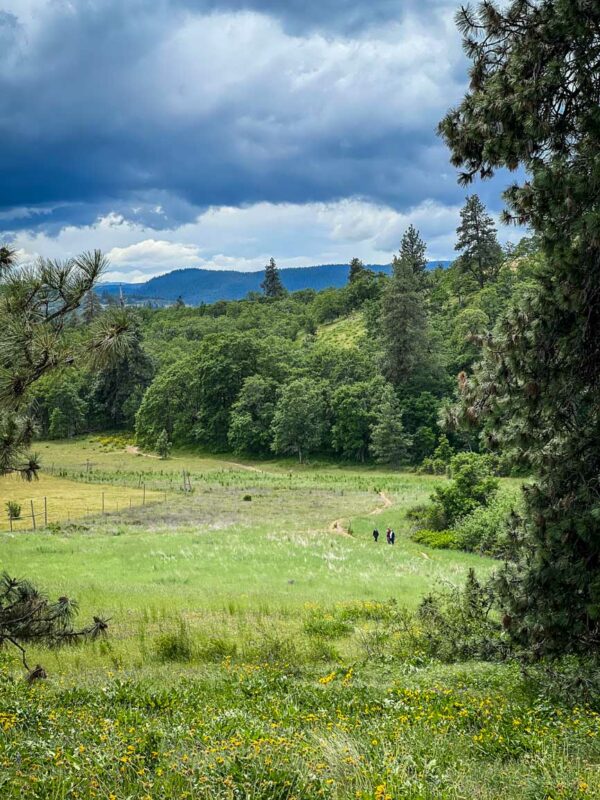 Memaloose Hills hike Oregon