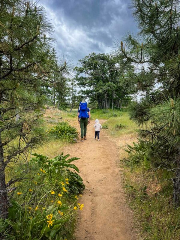 Hiking the Memaloose Hills trail with a toddler