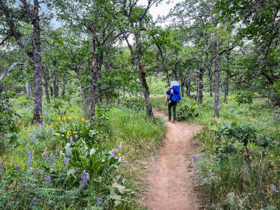Memaloose Hills trail