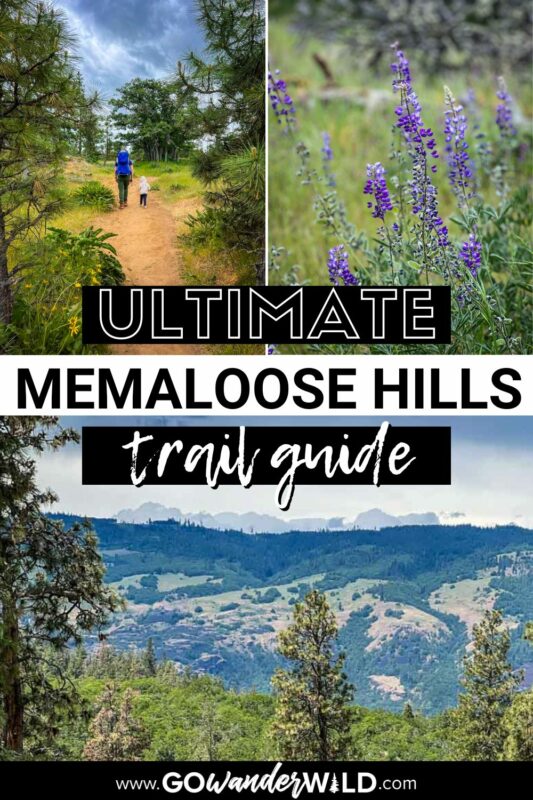 Memaloose Hills Hike | Go Wander Wild