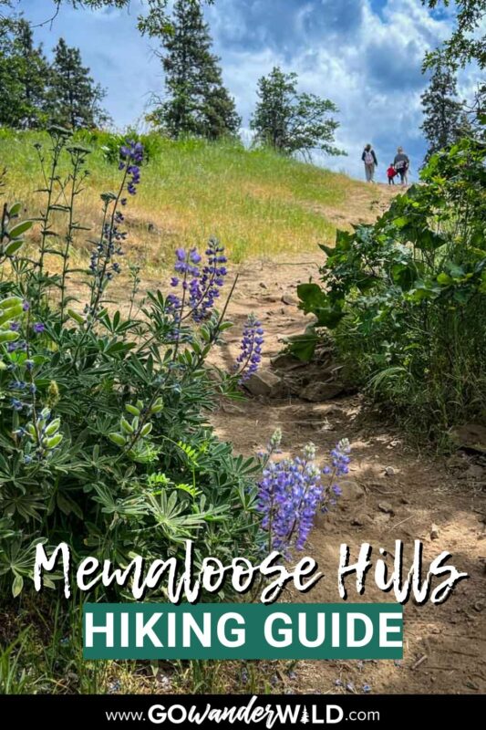 Memaloose Hills Hike | Go Wander Wild