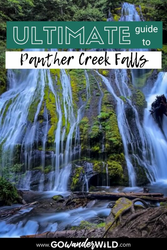 Panther Creek Falls | Go Wander Wild