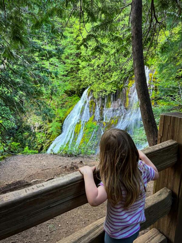 Panther Creek Falls upper viewing platform