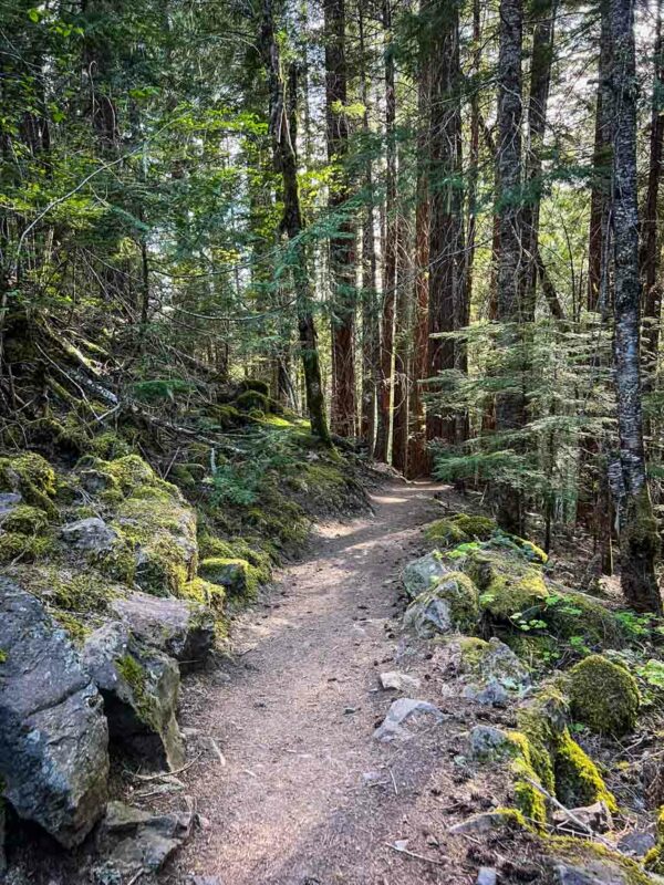 Panther Creek Falls trail