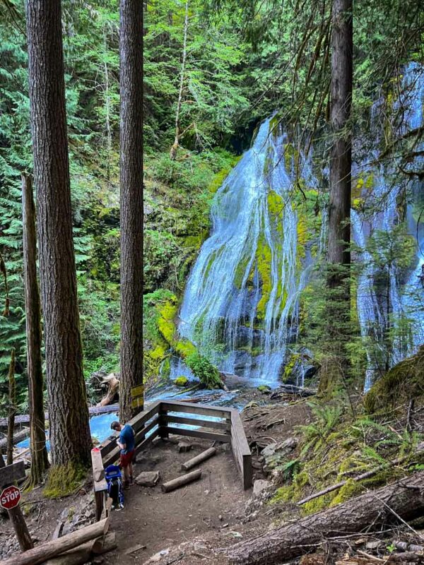 Panther Creek Falls Lower viewing platform from above
